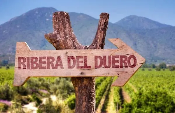 La Olma Campillo de Aranda