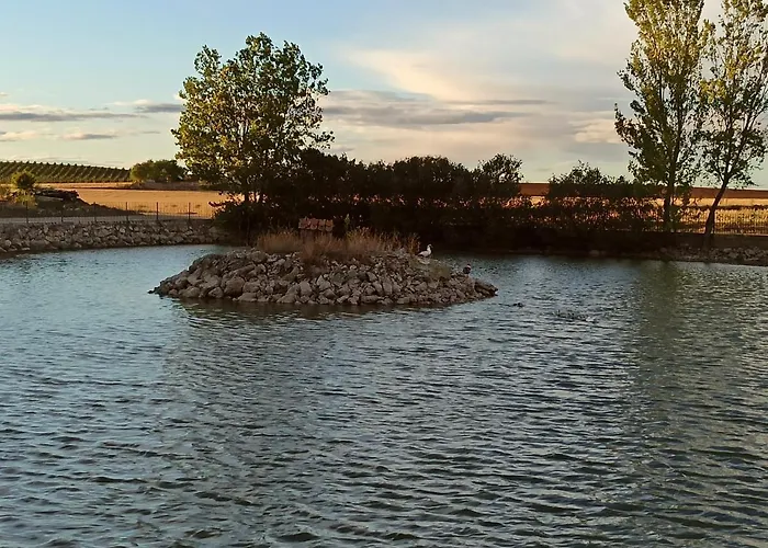 La Olma Campillo de Aranda